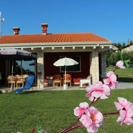شقة Rosa Dei Venti Sul Garda باردولينو المظهر الخارجي الصورة